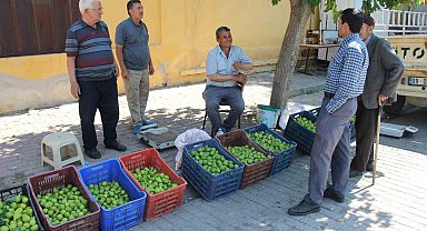 Bu pazarda meyve değil sinek satılıyor