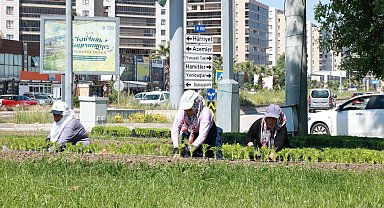 Bu yaz Osmangazi'de çiçek kokuları eksik olmayacak