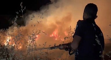 Buğday tarlasında korkutan yangın