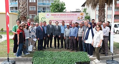 Buharkent'te 38 bin domates fidesi dağıtıldı