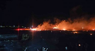 Burhaniye'de korkutan örtü yangını
