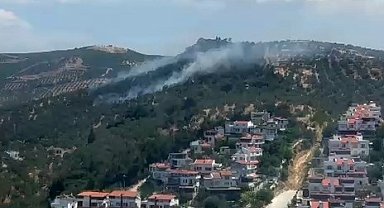 Burhaniye'deki zeytinlik yangını kontrol altına alındı