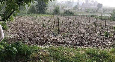 Bursa'da dolu… Keles'te tarım arazilerini dolu vurdu