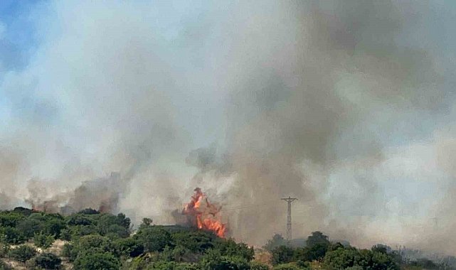 Çanakkale'de bozuk orman sahasında yangın