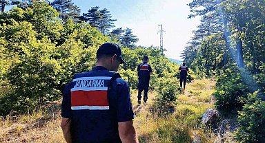 Çanakkale'de orman yangınlarına karşı jandarma ekipleri sahada