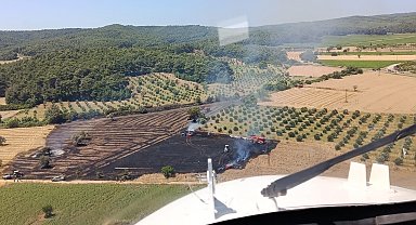 Çanakkale'de tarım arazisinde çıkan yangın ormana sıçramadan kontrol altına alındı