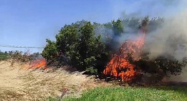 Çanakkale'de tarım arazisinde yangın