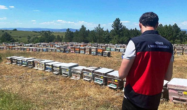 Çavdarhisar'da arılı kovan sayımı gerçekleştirildi