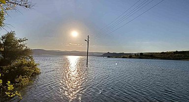 Çekerek Süreyya Bey Barajı'nda doluluk oranı yüzde 100'ün üzerine çıktığı için köyü yılanlar bastı
