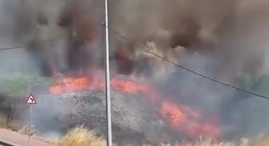 Darıca'da arazide korkutan yangın