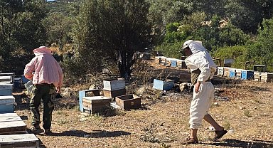 Datça'da çıkan yangın büyümeden söndürüldü