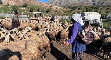 Destek bekleyen üreticilere bakanlıktan dolandırıcılık uyarısı