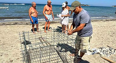Didim'de ikinci caretta yuvası koruma altına alındı