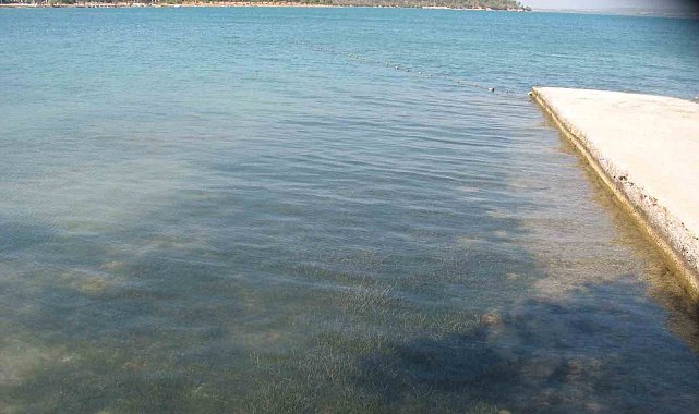 Didim'in deniz suyu kalitesi dikkat çekti