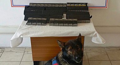 Diyadin'de 180 paket kaçak sigara yakalandı