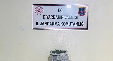 Diyarbakır'da 19 kilo 800 gram esrar ele geçirildi