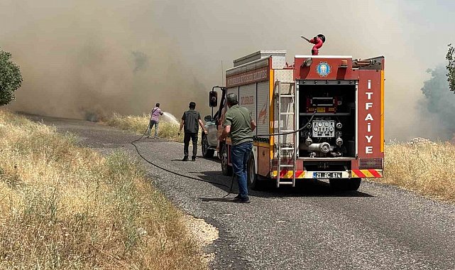 Diyarbakır'da ekili arazide yangın: Yüzlerce dönüm buğday tarlası kül oldu