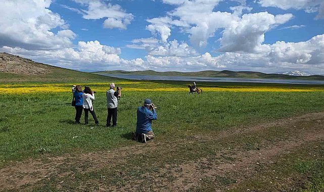 Doğa için deklanşöre bastılar: Dostlar Fotoğraf Grubu Van'ın sulak alanlarını fotoğrafladı