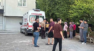 Dut toplarken ağaçtan düşüp yaralandı