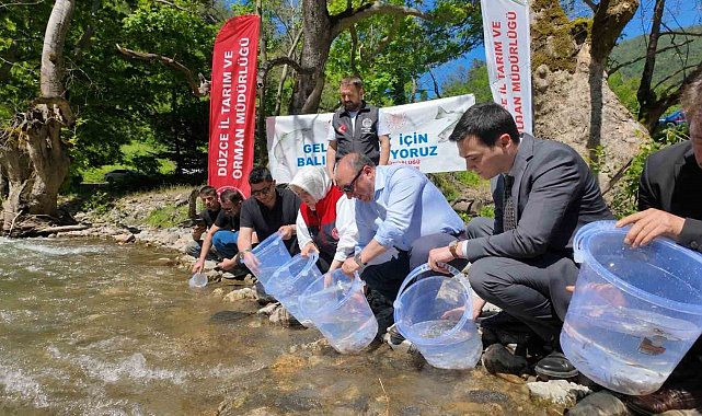 Düzce'de 7 bin 500 kırmızı benekli alabalık yavrusu sularla buluştu