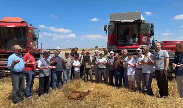 Edirne'de buğday hasadı dualarla başladı