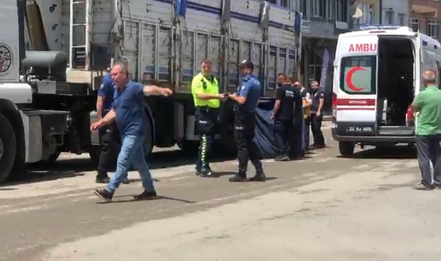 Edirne'de kamyonun çarptığı yaya hayatını kaybetti