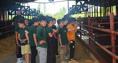 Edremit'te Dünya Süt Günü'nde çocuklara çiftlikte uygulamalı eğitim