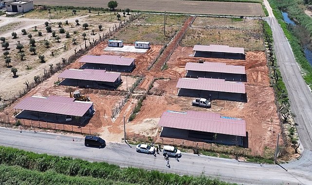 Efeler Belediyesi'nden sokak hayvanları için yeni yaşam alanı