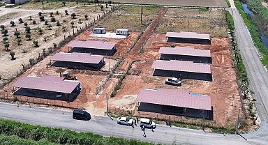 Efeler Belediyesi'nden sokak hayvanları için yeni yaşam alanı