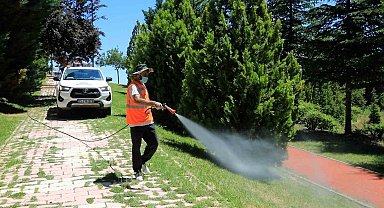 Elazığ'da ilaçlama çalışmaları aralıksız sürüyor