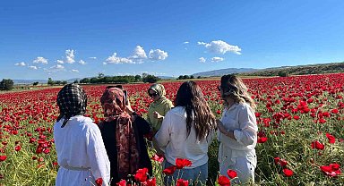 Elazığ'da oluşan doğal gelincik tarlasına vatandaşlar akın etti