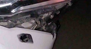 Elazığ'da otomobil domuz sürüsüne çarptı