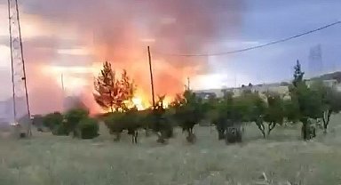 Elektrik direğinden çıktığı iddia edilen yangın buğday tarlasını küle çevirdi