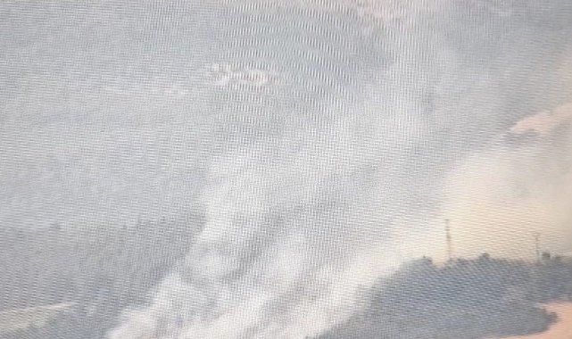 Elektrik tellerine çarpan karga yangına sebep oldu