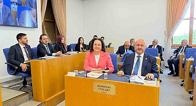 Emniyet, basın ve vergi ile ilgili düzenlemeleri içeren kanun teklifi Komisyon'da