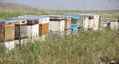 Endemik çiçekleri ile dikkat çeken Alem Dağı, Ordulu ailenin üç kuşaktır vazgeçilmez rotası oldu