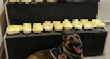 Erzincan'da 20,1 kilogram metamfetamin ele geçirildi