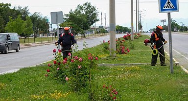 Erzincan'da yeşil alanlarda bakım çalışmaları sürüyor