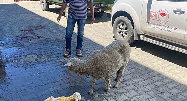 Erzincan'da zamanla yarış mutlu sonla bitti