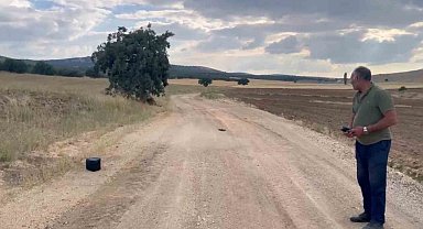 Eskişehir'de kaybolan gebe inek dron ile aranıyor