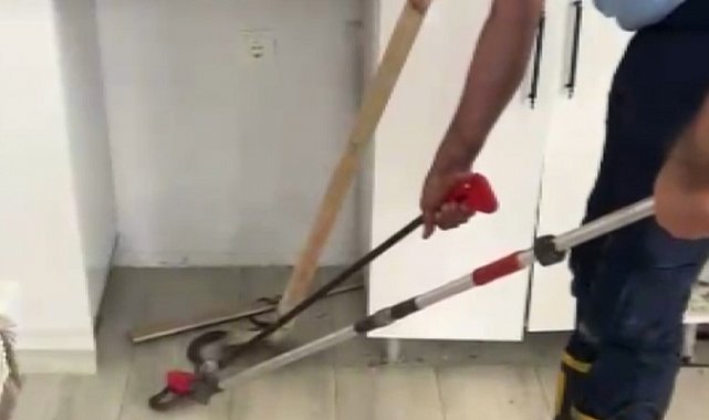 Eve giren yılanı itfaiye ekipleri çıkardı