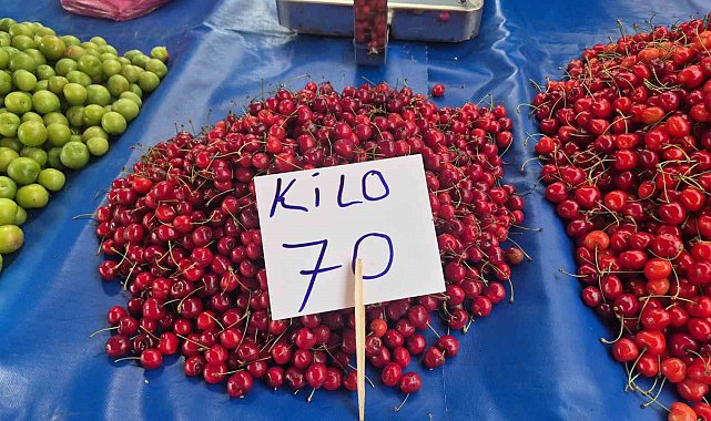 Festivalde 300 liraydı, pazarda 70 liraya düştü