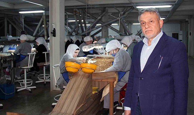 Fındık fiyatlarındaki düşüş sürüyor: Gözler yeni sezonda