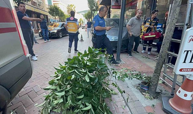 Fren yerine gaza bastı: İki ağacı devirip, duvara çarptıktan sonra durabildi