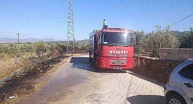 Gaziantep'te zeytinlik alanda yangın