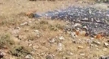 Gercüş'te korkutan yangın: Köyün geçim kaynağı ekili alanlar son anda kurtarıldı