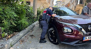 Geri kayan otomobil ağaca çarpı: 3 yaralı