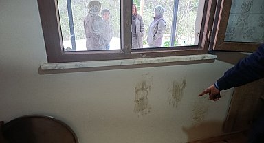 Giresun'da ayı alarmı