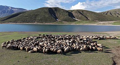 Göçerler 5 aylık yayla sezonunu Bitlis'te açtı