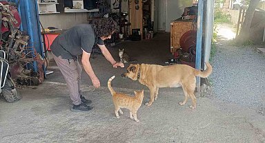 Gözleri görmeyen köpeğe 13 yıldır evladı gibi bakıyor